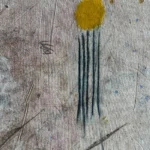 Jellyfish – Millions years ago