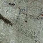 Jellyfish – Millions years ago