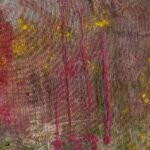 Jellyfish – History
