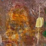 Jellyfish – History