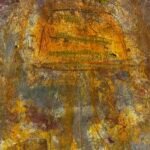 Jellyfish – History