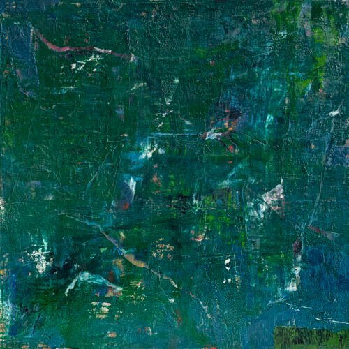 Vidinės džiunglės