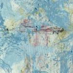 Jellyfish – The bright light