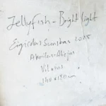 Jellyfish – The bright light