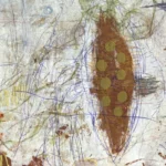 Jellyfish – Hidden Stories