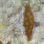 Jellyfish – Hidden Stories