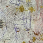 Jellyfish – Hidden Stories