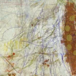 Jellyfish – Hidden Stories