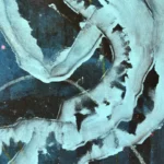 Jellyfish – Sleepy Eye