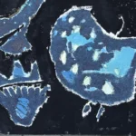 Jellyfish – The dark side