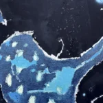 Jellyfish – The dark side