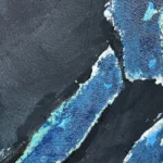Jellyfish – The dark side