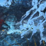 Jellyfish – Ocean Roots