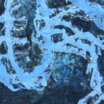 Jellyfish – Ocean Roots