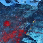 Jellyfish – Ocean Roots