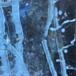 Jellyfish – Ocean Roots