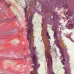 Pink stream
